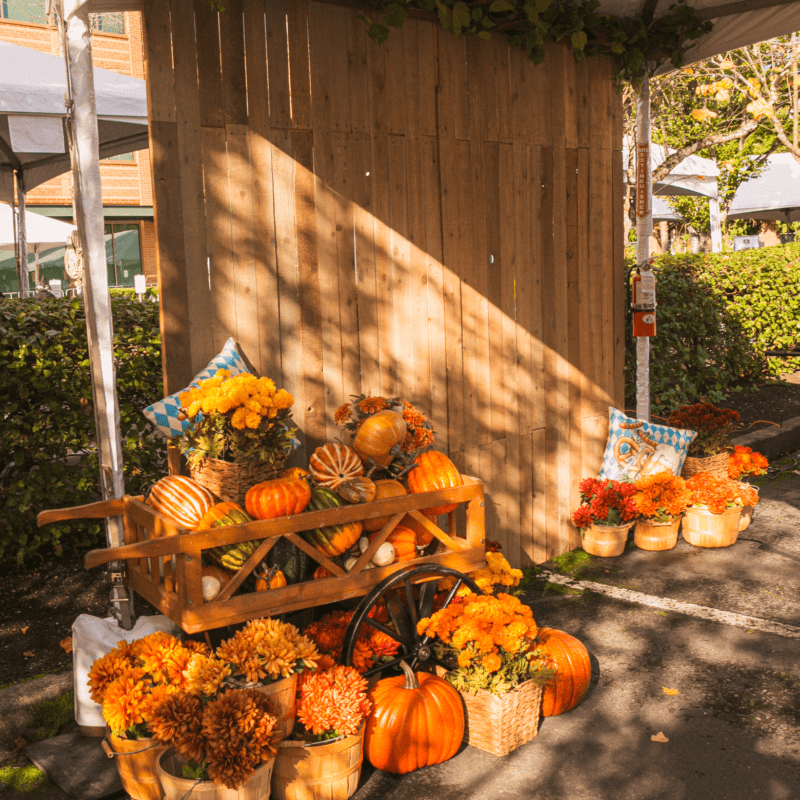 oktoberfest pumpkin wagon decor charitable fundraising event design Redmond Seattle corporate event planning