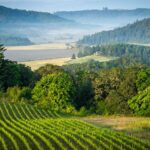 Willamette Valley Oregon Wine Country Destination Incentive DMC