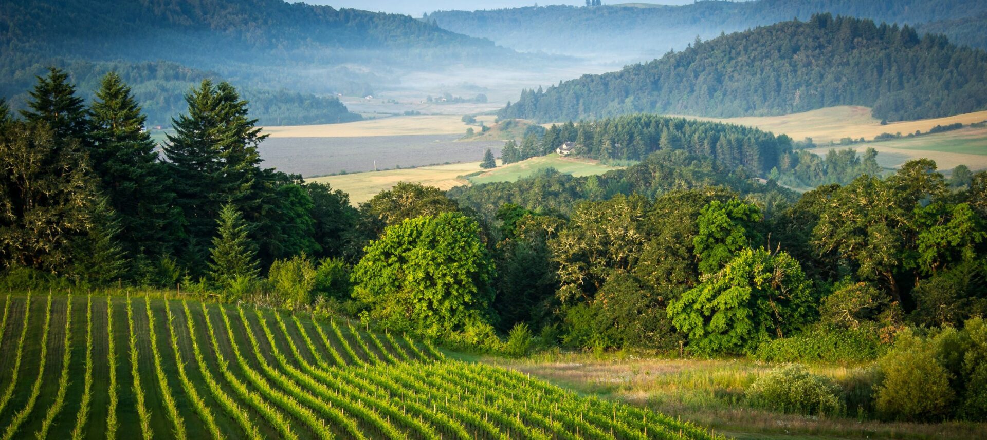 Willamette Valley Oregon Wine Country Destination Incentive DMC