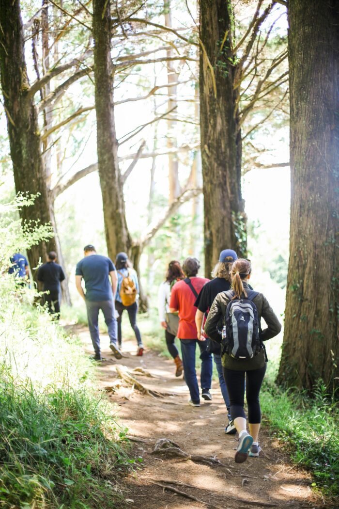 Group Hiking Outdoors pacific northwest