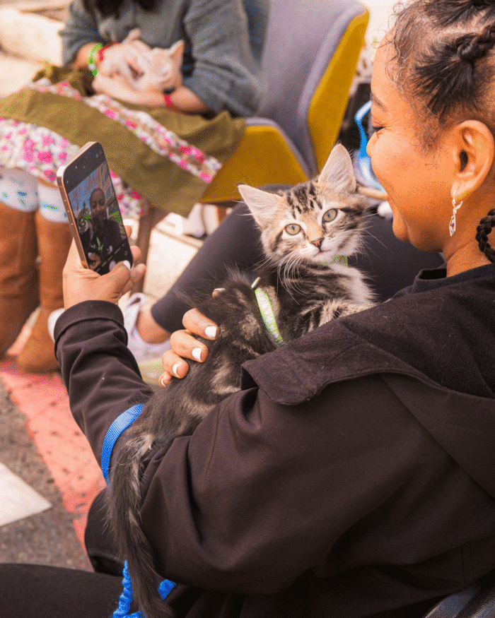 CSR-program kitty-cat-adoption
