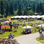 Seattle company picnic planner event organizer