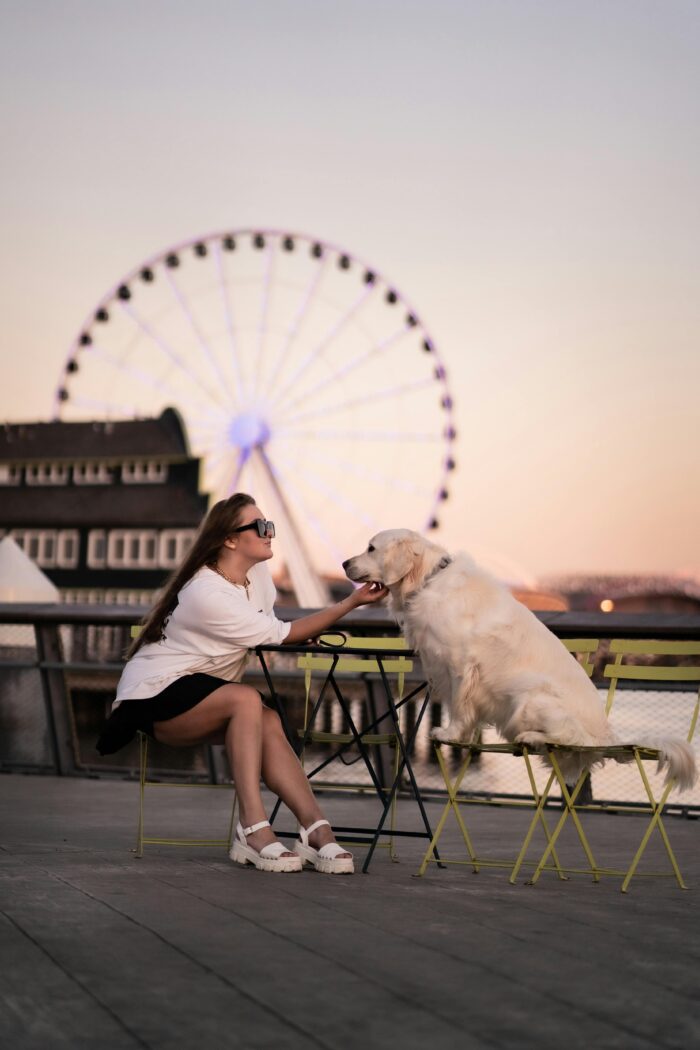 Seattle waterfront great wheel dog friendly city